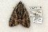  ( - 791-100802-KY)  @13 [ ] Copyright (2008) Unspecified Research Collection of Robert J. Borth