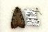  ( - 794-250503-OK)  @14 [ ] Copyright (2008) Unspecified Research Collection of Robert J. Borth