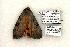  ( - 795-250503-OK)  @13 [ ] Copyright (2008) Unspecified Research Collection of Robert J. Borth