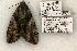  ( - 802-120602-AR)  @13 [ ] Copyright (2008) Unspecified Research Collection of Robert J. Borth