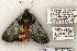  ( - 818-100702-VA)  @14 [ ] Copyright (2008) Unspecified Research Collection of Robert J. Borth