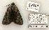  ( - 807-120702-KY)  @13 [ ] Copyright (2008) Unspecified Research Collection of Robert J. Borth