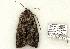  ( - 812-250506-FL)  @13 [ ] Copyright (2008) Unspecified Research Collection of Robert J. Borth