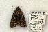  ( - 824-100602-OK)  @13 [ ] Copyright (2008) Unspecified Research Collection of Robert J. Borth