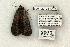  ( - 825-120702-KY)  @13 [ ] Copyright (2008) Unspecified Research Collection of Robert J. Borth