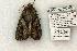  ( - 826-050702-VA)  @13 [ ] Copyright (2008) Unspecified Research Collection of Robert J. Borth
