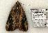  ( - 827-180504-TX)  @13 [ ] Copyright (2008) Unspecified Research Collection of Robert J. Borth