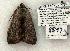  ( - 828-110702-KY)  @14 [ ] Copyright (2008) Unspecified Research Collection of Robert J. Borth