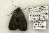  ( - 829-120702-KY)  @13 [ ] Copyright (2008) Unspecified Research Collection of Robert J. Borth