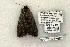  ( - 830-130602-AR)  @13 [ ] Copyright (2008) Unspecified Research Collection of Robert J. Borth