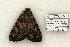  ( - 834-270504-TX)  @13 [ ] Copyright (2008) Unspecified Research Collection of Robert J. Borth