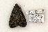  ( - 841-270504-TX)  @13 [ ] Copyright (2008) Unspecified Research Collection of Robert J. Borth