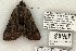  ( - 817-120702-KY)  @13 [ ] Copyright (2008) Unspecified Research Collection of Robert J. Borth