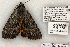  ( - 819-090702-VA)  @14 [ ] Copyright (2008) Unspecified Research Collection of Robert J. Borth