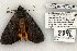  ( - 820-040702-VA)  @13 [ ] Copyright (2008) Unspecified Research Collection of Robert J. Borth