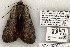  ( - 821-110702-KY)  @13 [ ] Copyright (2008) Unspecified Research Collection of Robert J. Borth