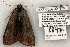 ( - 822-030702-TN)  @13 [ ] Copyright (2008) Unspecified Research Collection of Robert J. Borth