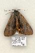  ( - 883-COI-06)  @13 [ ] Copyright (2008) Unspecified Research Collection of Robert J. Borth