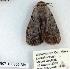  ( - 907-100800-MA)  @13 [ ] Copyright (2008) Unspecified Research Collection of Robert J. Borth