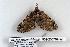  ( - 932-230707-WI)  @12 [ ] Copyright (2008) Unspecified Research Collection of Robert J. Borth