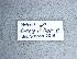  ( - NHMW-HYM 77)  @11 [ ] Unspecified (default): All Rights Reserved (2017) Unspecified Natural History Museum Vienna