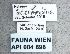  ( - NHMW-HYM 425)  @12 [ ] CreativeCommons  Attribution Non-Commercial (by-nc) (2017) Unspecified Natural History Museum Vienna