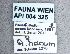  ( - NHMW-HYM 541)  @12 [ ] Unspecified (default): All Rights Reserved (2017) Unspecified Natural History Museum Vienna