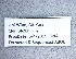  ( - NHMW-HYM 857)  @12 [ ] Unspecified (default): All Rights Reserved (2018) Unspecified Natural History Museum Vienna