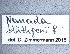  ( - NHMW-HYM 857)  @12 [ ] Unspecified (default): All Rights Reserved (2017) Unspecified Natural History Museum Vienna