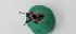  ( - ABG-8957)  @11 [ ] ©  Unspecified Agriculture and Agri-Food Canada