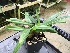  ( - ORDNA00452)  @11 [ ] Copyright (2019) Unspecified Atlanta Botanical Garden