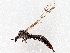  ( - BIOUG56885-H09)  @11 [ ] CreativeCommons - Attribution (2021) CBG Photography Group Centre for Biodiversity Genomics