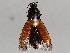  ( - BIOUG56886-G03)  @11 [ ] CreativeCommons - Attribution (2021) CBG Photography Group Centre for Biodiversity Genomics