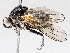  ( - BIOUG56888-F08)  @11 [ ] CreativeCommons - Attribution (2021) CBG Photography Group Centre for Biodiversity Genomics