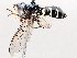  ( - BIOUG56889-H08)  @11 [ ] CreativeCommons - Attribution (2021) CBG Photography Group Centre for Biodiversity Genomics
