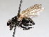 ( - BIOUG56890-E01)  @11 [ ] CreativeCommons - Attribution (2021) CBG Photography Group Centre for Biodiversity Genomics