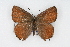  ( - CSU-CPG-LEP001070)  @13 [ ] CreativeCommons - Attribution (2009) Unspecified Unspecified