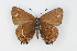  ( - CSU-CPG-LEP001071)  @12 [ ] CreativeCommons - Attribution (2009) Unspecified Unspecified
