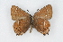  ( - CSU-CPG-LEP001073)  @12 [ ] CreativeCommons - Attribution (2009) Unspecified Unspecified