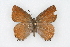  ( - CSU-CPG-LEP001074)  @13 [ ] CreativeCommons - Attribution (2009) Unspecified Unspecified