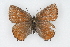  ( - CSU-CPG-LEP001075)  @13 [ ] CreativeCommons - Attribution (2009) Unspecified Unspecified