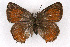  ( - CSU-CPG-LEP001102)  @13 [ ] CreativeCommons - Attribution (2009) Unspecified Unspecified
