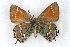  ( - CSU-CPG-LEP001104)  @13 [ ] CreativeCommons - Attribution (2009) Unspecified Unspecified