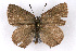  ( - CSU-CPG-LEP001134)  @13 [ ] CreativeCommons - Attribution (2009) Unspecified Unspecified