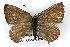  ( - CSU-CPG-LEP001135)  @13 [ ] CreativeCommons - Attribution (2009) Unspecified Unspecified