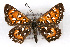  ( - CSU-CPG-LEP001163)  @14 [ ] CreativeCommons - Attribution (2009) Unspecified Unspecified