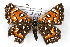  ( - CSU-CPG-LEP001164)  @13 [ ] CreativeCommons - Attribution (2009) Unspecified Unspecified