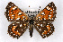  ( - CSU-CPG-LEP001165)  @14 [ ] CreativeCommons - Attribution (2009) Unspecified Unspecified