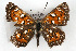  ( - CSU-CPG-LEP001187)  @13 [ ] CreativeCommons - Attribution (2009) Unspecified Unspecified