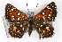  ( - CSU-CPG-LEP001189)  @14 [ ] CreativeCommons - Attribution (2009) Unspecified Unspecified